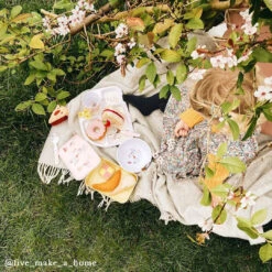 Fairground Ponies Childrens Melamine Divider Plate -Sophie Allport 12. five make a home FairgroundPoniesMelamine 99286cb0 4ce5 4058 912e 1b9b508955da