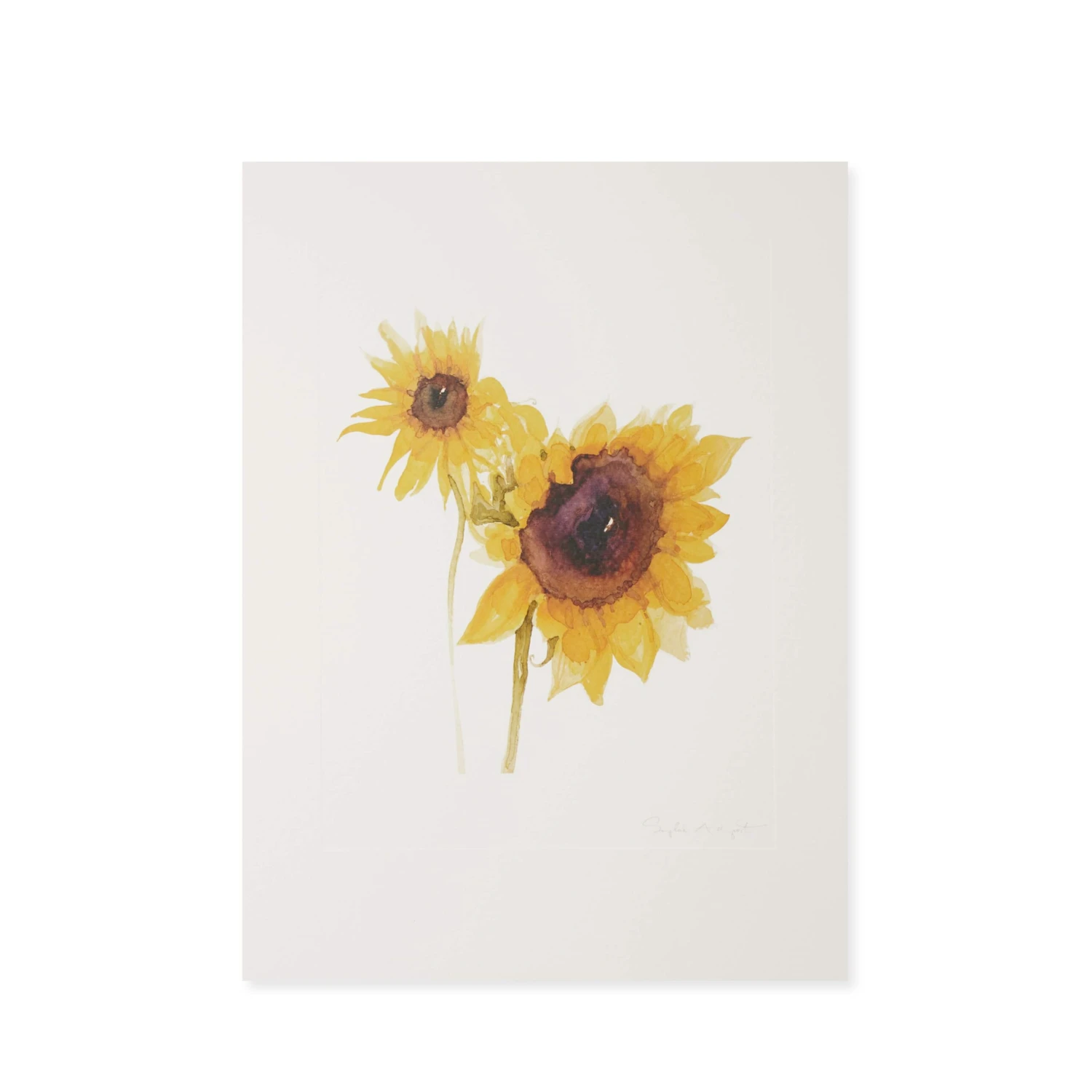 Archive Multi Sunflower Print 2 Archive Multi Sunflower Print - Image 2