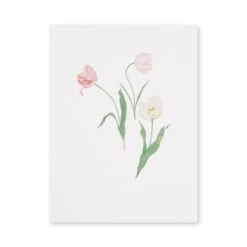 Multi Tulips Print -Sophie Allport SS24 12X16P11502 CUTOUT