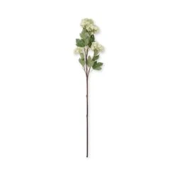 Faux Viburnum - Green 5 Faux Viburnum - Green -Sophie Allport SS24 ABX5752GR CUTOUT 001f1188 b63d 4474 aee0 7b8aab1f9e6c