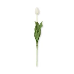 Faux Tulip - White 5 Faux Tulip - White -Sophie Allport SS24 ABY5657WH CUTOUT