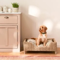 Rattan Pet Bed - Natural 13 Rattan Pet Bed - Natural -Sophie Allport SS24 RATCD750 SQUARE