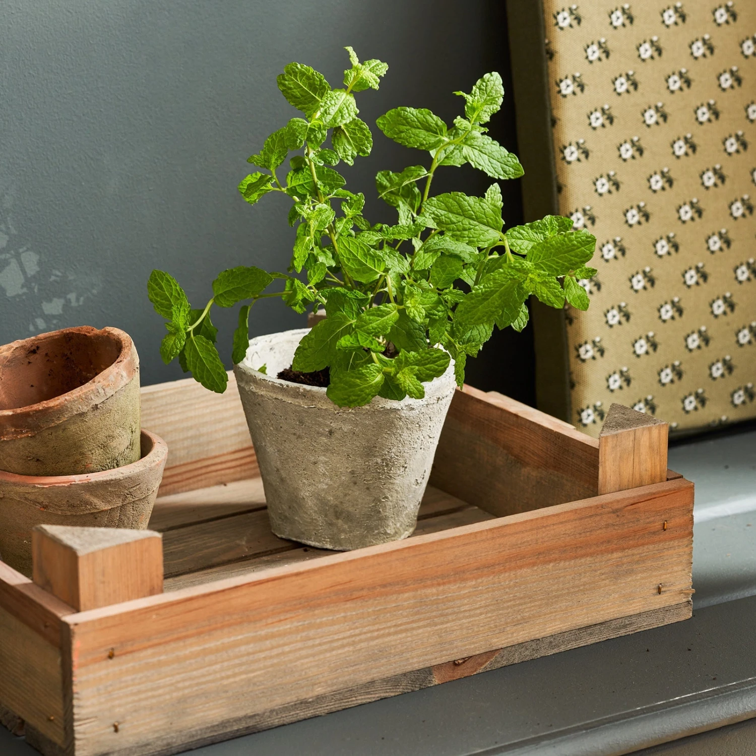 Aged Stone Terracotta Pot 1 Aged Stone Terracotta Pot