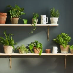 Aged Terracotta Pot -Sophie Allport SS24 Y1009 Y1008 Y1007 Y1014 Y1013 Y1012 SQUARE aded2bf3 aa77 4b42 b16a bbc438aecccd