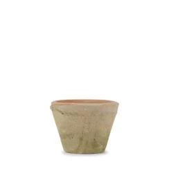Aged Terracotta Pot -Sophie Allport SS24 Y1012 CUTOUT 78742fb9 6e0b 4f84 9b1f 6256a9addfe0