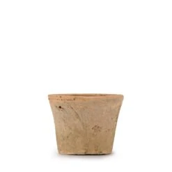 Aged Terracotta Pot -Sophie Allport SS24 Y1013 CUTOUT
