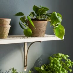 Aged Terracotta Pot -Sophie Allport SS24 Y1013 SQUARE