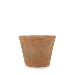 Aged Terracotta Pot -Sophie Allport SS24 Y1014 CUTOUT