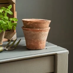 Aged Terracotta Pot -Sophie Allport SS24 Y1014 SQUARE