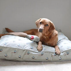 Sophie Allport -Sophie Allport all19755m pheasant pet mattress lifestyle high res 1 web image square