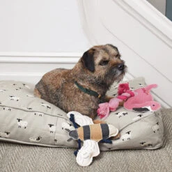 Bees Dog Toy 5 Bees Dog Toy -Sophie Allport all43750m sheep pet mattress small lifestyle high res square 4e2123c3 92cd 4e38 af1e 1906ca05ee7c