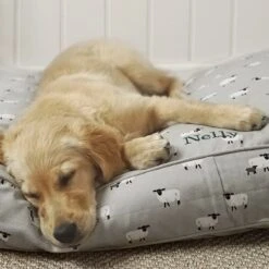 Sheep Pet Mattress Cover -Sophie Allport all43760m sheep pet bed mattress medium personalisation lifestyle high res square 1
