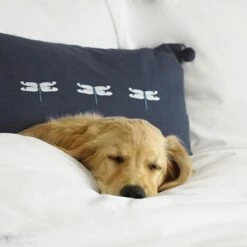 Sophie Allport -Sophie Allport all57401e dragonfly cushion nelly on bed lifestyle high res square