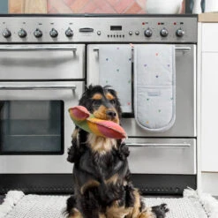 Multicoloured Hearts Tea Towel 9 Multicoloured Hearts Tea Towel -Sophie Allport all81601 all81100 hearts multicoloured tea towel and double oven glove 2 lifestyle high res square 000d17b1 539f 449f b883 c5fa6514c159