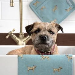 Terriers Tea Towel (Set Of 2) -Sophie Allport all98602 all98125 border terrier tea towel set of 2 and pot grab 2 lifestyle high res square 1b725955 1d0b 4fb0 bc0b 30c62e7e8c55