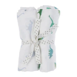 Dinosaur Muslins (Pack Of 2)