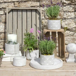 Bees Display Dish -Sophie Allport bees gardening decorative stone collection lifestyle high res square 3325fea6 f015 48cd a081 066528ac6905