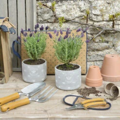 Bees Garden Tool Set 16 Bees Garden Tool Set -Sophie Allport cpp3614u cpp6614u bees and butterflies plant pot unfinished 14cm lifestyle high res square ac62cb03 e38b 410d bfaf a5ca9ffb90cd