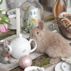 Hare Teapot -Sophie Allport easter bunny 2021 campaign 3 lifestyle high res square