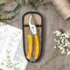 Bees Secateurs Set