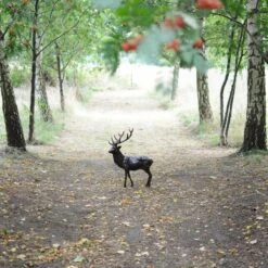 Stag Bronze Sculpture -Sophie Allport image prodzoomimg1693 1 217077e2 c754 40d4 a271 6cd84eabaefe