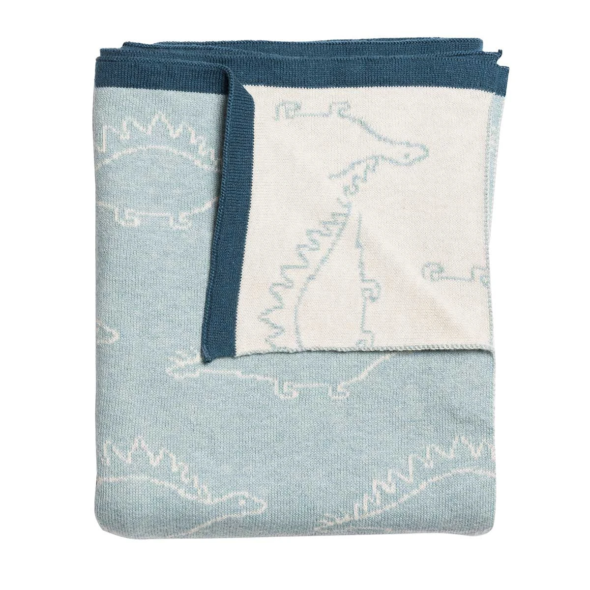 Dinosaurs Blanket 1 Dinosaurs Blanket