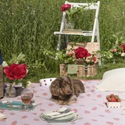 Strawberries Melamine Dinner Plate 15 Strawberries Melamine Dinner Plate -Sophie Allport kpb97145 poly97525 mbk9703 pt9726 all97602 strawberries picnic 3 lifestyle high res square 1 9f8d9d2a b665 4065 8e9c c8da44a74800