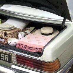 Strawberries Woven Picnic Blanket -Sophie Allport kpb97145 strawberries picnic blanket lifestyle high res square