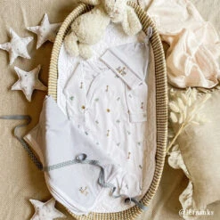 Bears & Balloons Baby Grow 10 Bears & Balloons Baby Grow -Sophie Allport lefranks Bears Balloons2 9ad79278 dc2a 4a17 b1e4 0e5a1dde105f