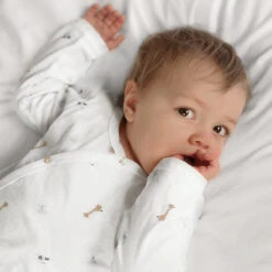 Bears & Balloons Baby Grow 9 Bears & Balloons Baby Grow -Sophie Allport pjcj791218 bears balloons baby sleepsuit 12 18 month lifestyle high res square