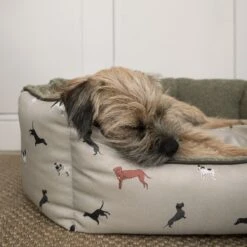 Woof Pet Bed