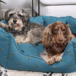 Bees Pet Bed -Sophie Allport poly36755 bees pet bed medium 4 lifestyle high res square