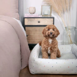 Hearts Pet Bed
