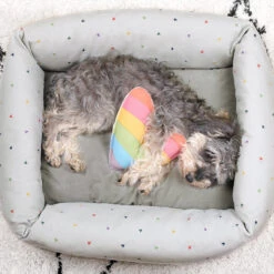 Hearts Pet Bed -Sophie Allport poly81755 pt8125 hearts multicoloured pet bed medium and pet toy 2 lifestyle high res square