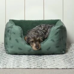 Hedgehogs Pet Bed -Sophie Allport poly83750 hedgehog pet bed small lifestyle high res square