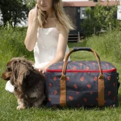 Strawberries Picnic Bag -Sophie Allport poly97525 strawberries pocket picnic bag lifestyle high res square