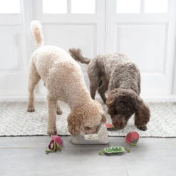 Veggie Box Dog Toy Set -Sophie Allport ptd7885 veggie box dog toys lifestyle high res square