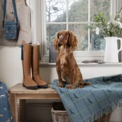 Dachshund Wool Knitted Throw -Sophie Allport tassels and tails f f collection 2 lifestyle high res square