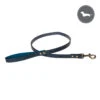 Teal Dog Lead