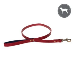 Red Dog Lead