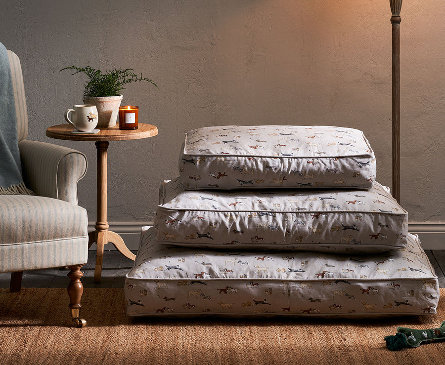 Sophie Allport -Sophie Allport